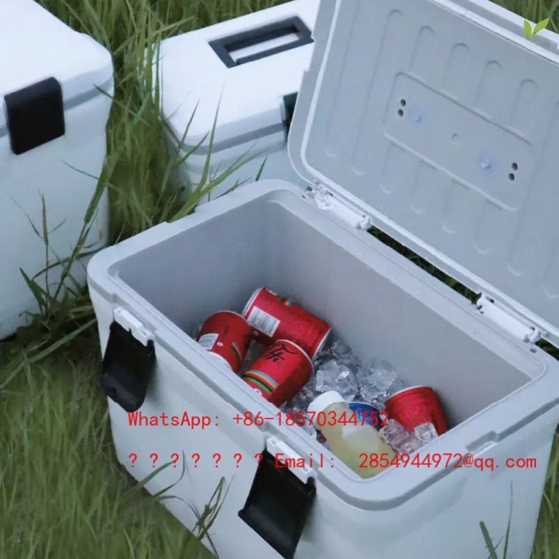 2026    Outdoor Cold Incubator - огляд і ціна Mountain Biking Camp
